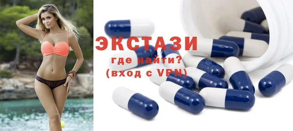 твердый Краснослободск