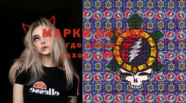 индика Куйбышев
