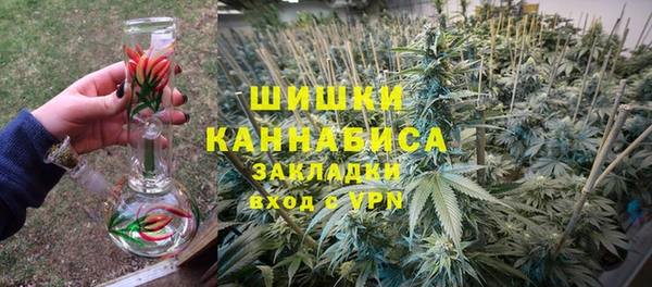 прущие грибы Волосово