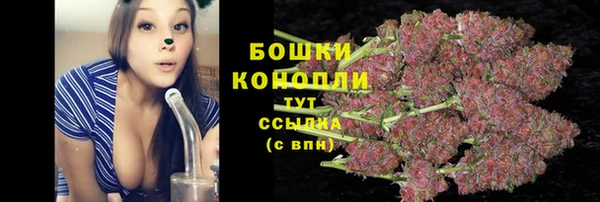индика Куйбышев