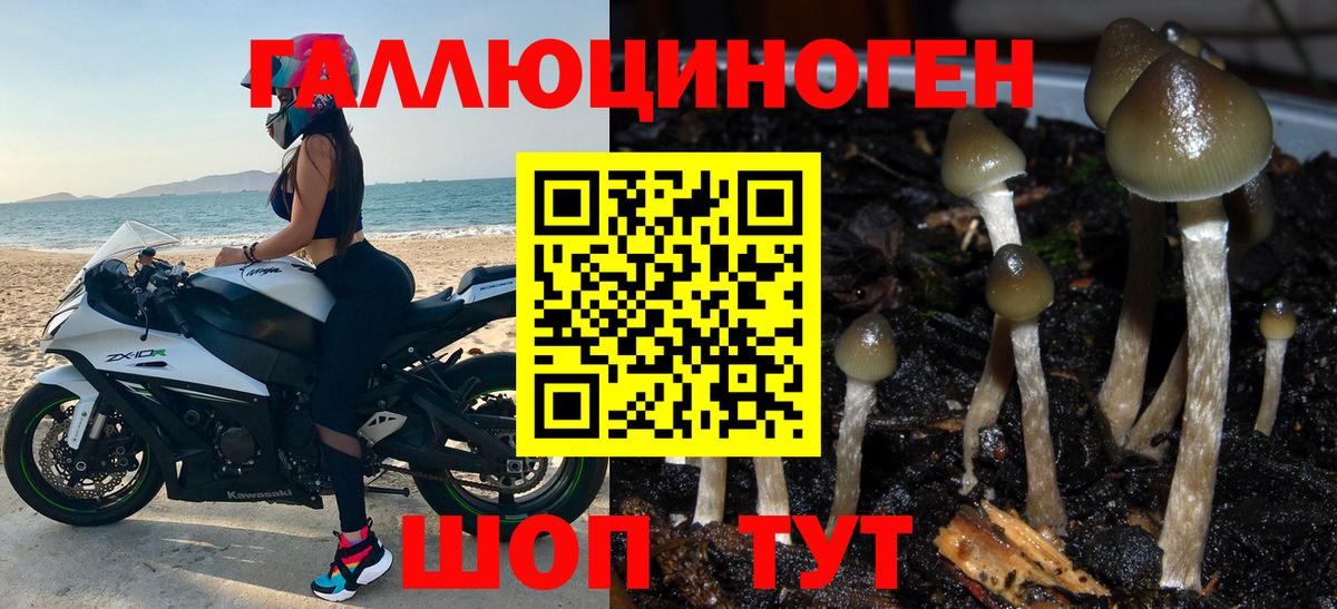Псилоцибиновые грибы MAGIC MUSHROOMS  Вход с VPN  наркотики  Минеральные Воды 
