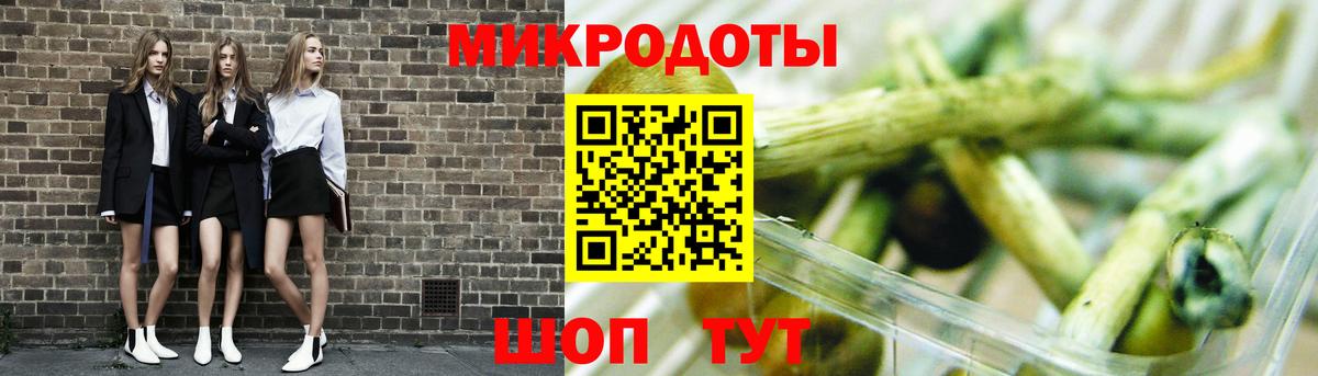 Псилоцибиновые грибы Cubensis Минеральные Воды